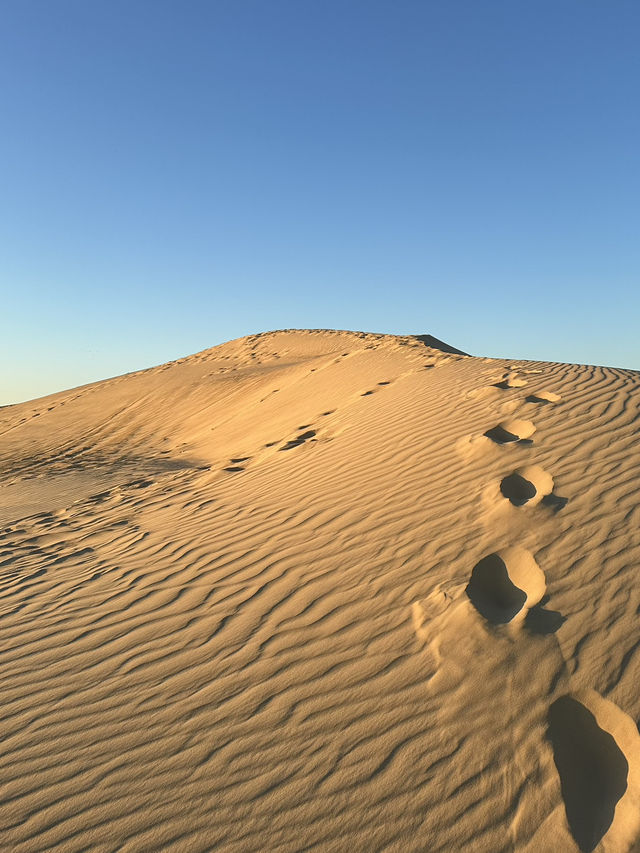 Sahara’s Holy Trinity: Fire, Gold And Stardust