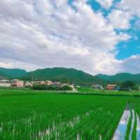 豆田町🌾絕美秘境 