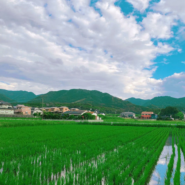 豆田町🌾絕美秘境 