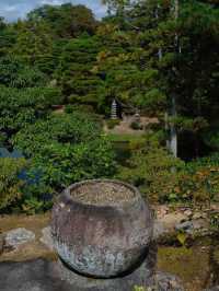【桂離宮】日本庭園の最高峰へ🌿美と静寂が織りなす“究極の空間”