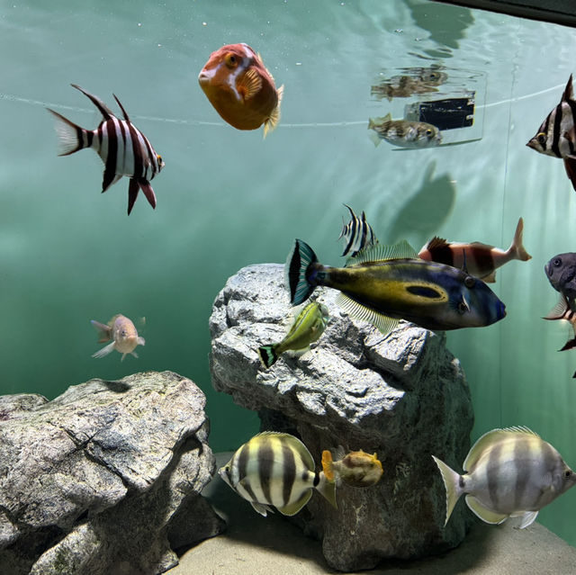 葛西臨海水族館