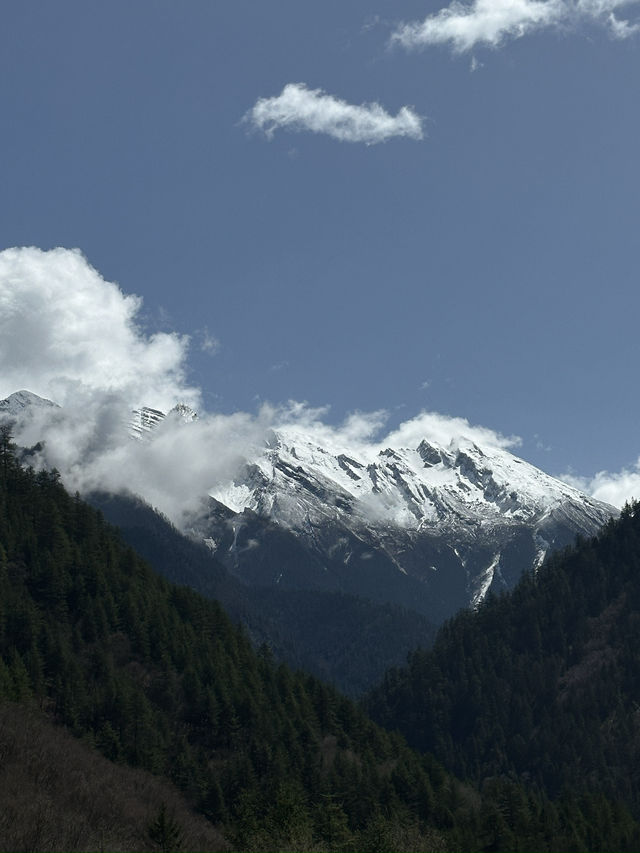 Glacial Citadel: Infiltrating Jiuzhaigou’s Silent Water Vault At 3100m