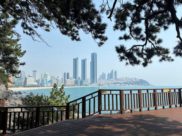 冬柏島散策｜從海雲台出發的一小時秘境之旅