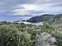Bruny Island – เกาะเล็กๆ ที่เต็มไปด้วยความทรงจำ
