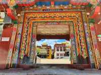 Getting Lost in Litang Wild Vibes