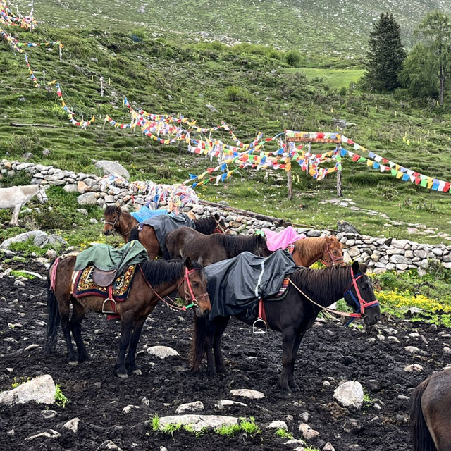 🌿 Wandering Through the Soul of Western Sichuan — 康定风景区