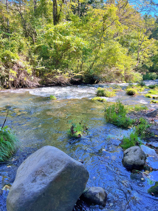 【軽井沢】涼を感じる🌿𓂃◌𓈒𓐍避暑地で夏を満喫