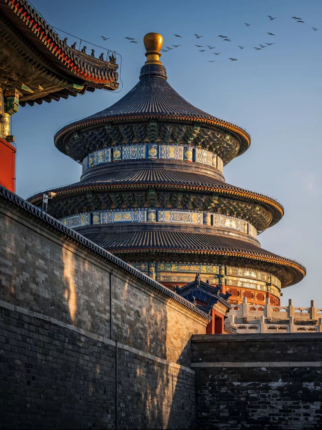 Temple Of Heaven: Where Blue Titles Filter Starlight And Cypresses Swallow Imperial Echoes