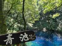 湛藍至極的青池 青森必去的景點