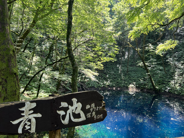 湛藍至極的青池 青森必去的景點