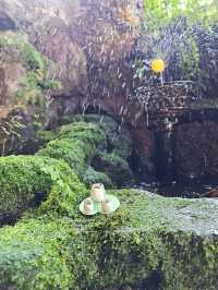 湧き水に浮かぶ白玉、島原の宝“かんざらし”🍡💧
