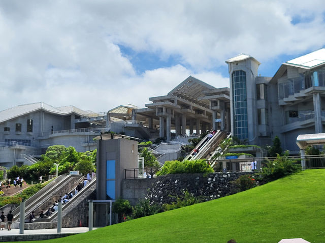黑潮水槽震撼人心的海洋體驗/沖繩美麗海水族館
