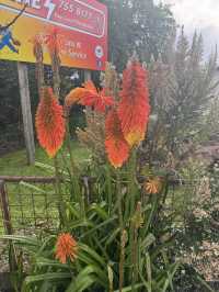 Quick day trip to a sleepy town and Gorges of Hokitika