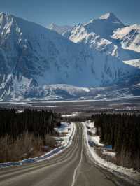 🇨🇦 North of 60° — Facing the Wild Silence of Canada on the Alaska Highway