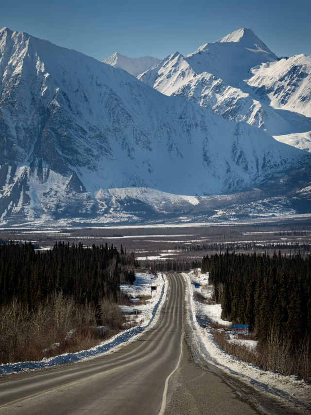 🇨🇦 North of 60° — Facing the Wild Silence of Canada on the Alaska Highway