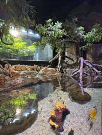 River to Reef Wonders at Aquaria KLCC
