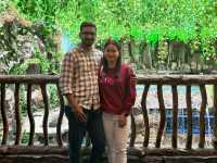 My Magical Getaway to Aquarium Paradise