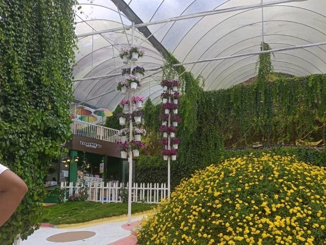 Bloom & Breathe: Explore the Hidden Garden Gem of MARDI Cameron Highlands! Bloom & Breathe: Explore the Hidden Garden Gem of MARDI Cameron Highlands!