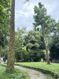 เที่ยวเชียงใหม่ฟิลธรรมชาติ Rachel coffee&community
