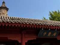 🏯 Zhengding Ancient City: Your Perfect Summer Day Trip! ☀️