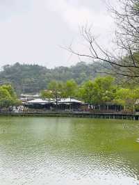 Step Into Nostalgia at Checheng Wood Museum