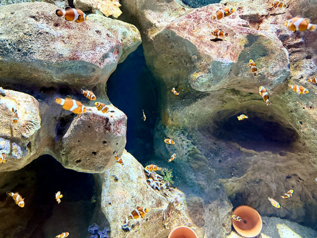 One Epic Day at VinWonders Phu Quoc One Epic Day at VinWonders Phu Quoc