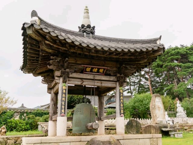 [경주] 서출지 & 통일전, 여유로운 여름 산책 🌿
