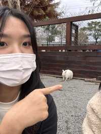 A Day at Yilan (picnic+beach and more!)👩🏻‍🤝‍👩🏼🧺✨