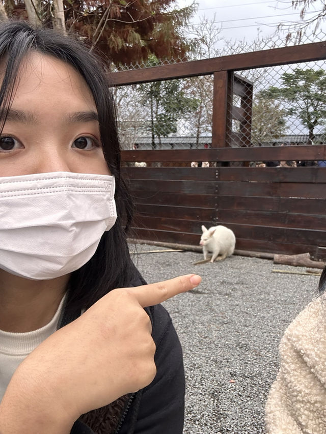 A Day at Yilan (picnic+beach and more!)👩🏻‍🤝‍👩🏼🧺✨