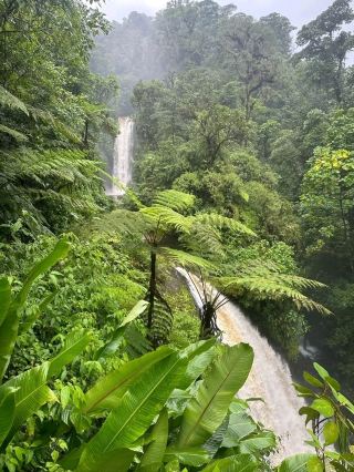 Exploring the Lush Beauty of La Paz Waterfall Garden