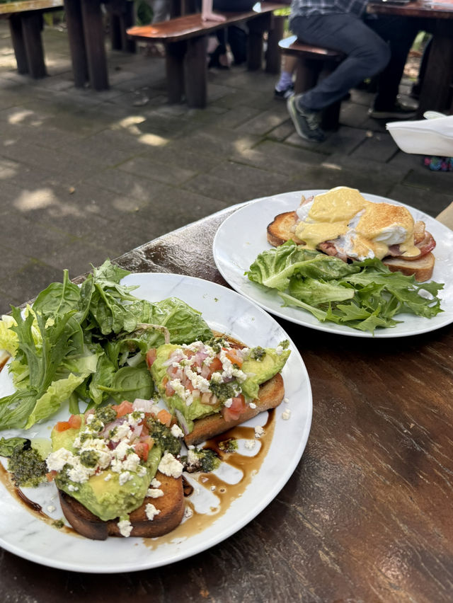 ケアンズ🇦🇺 景色が最高の海沿いカフェ🥑☀️