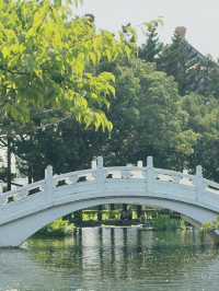 台北|中正紀念堂公園|歷史與自然的交融勝地