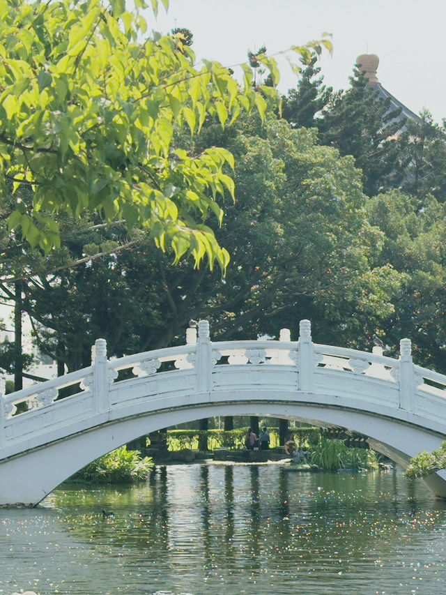 台北|中正紀念堂公園|歷史與自然的交融勝地 台北|中正紀念堂公園|歷史與自然的交融勝地