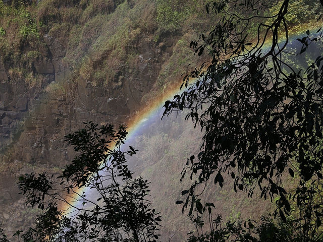 🐘 짐바브웨 여행 – 사파리와 모험