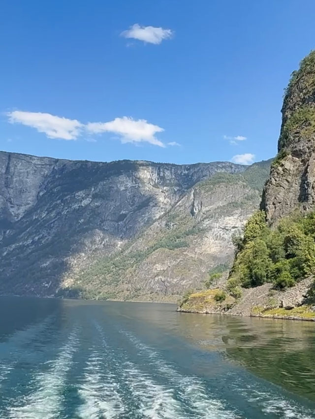 【世界一美しい鉄道旅】フロム鉄道で絶景を駆け抜ける感動体験🚂🏞️