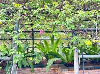 A Walk Through Terowong Bunga Kertas 