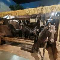 Pu'er City Museum: Guardians of the Ancient Tea Horse Road