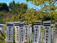 Tsurugaoka Hachimangu – The Spiritual Heart of Kamakura ⛩️