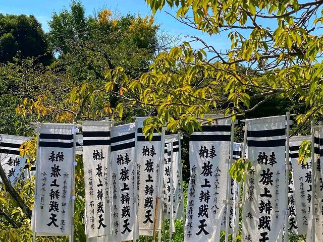 Tsurugaoka Hachimangu – The Spiritual Heart of Kamakura ⛩️