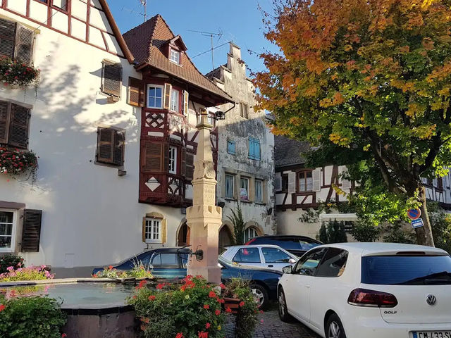 【絵本のような街並みにうっとり🏘️アルザス地方で癒し旅】