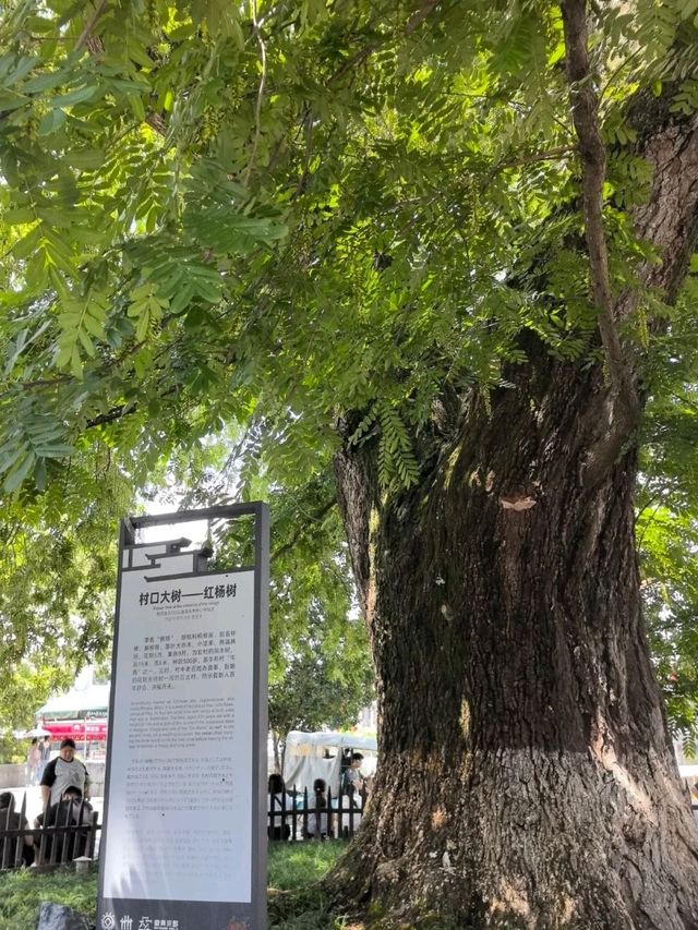 Step Into a Painting: Discover the Timeless Beauty of Hongcun