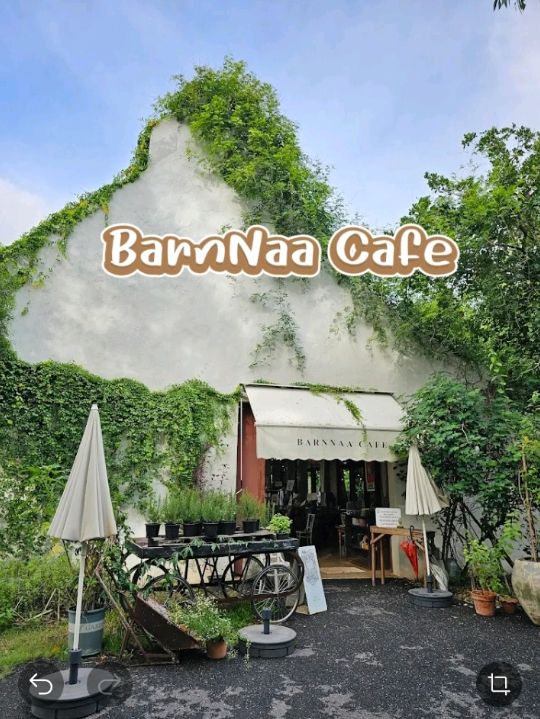 BarnNaa Cafe  💚🌿
