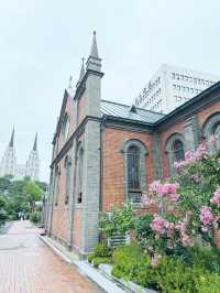 麻雀雖小五臟俱全的迷人小城市—大邱