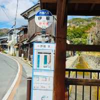 伊根舟屋｜日本海上的秘境小鎮與餵海鷗的浪漫郵輪