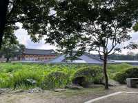 가을 전주 여행일정 추천 🍁 