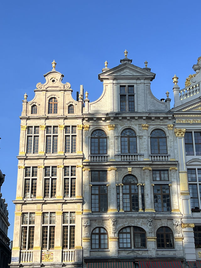 🇧🇪 比利時:布魯塞爾大廣場(Grand-Place) ✨ 🇧🇪 比利時:布魯塞爾大廣場(Grand-Place) ✨