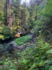 🌲 Slovak Paradise National Park – Adventure in Nature’s Playground 🌲
