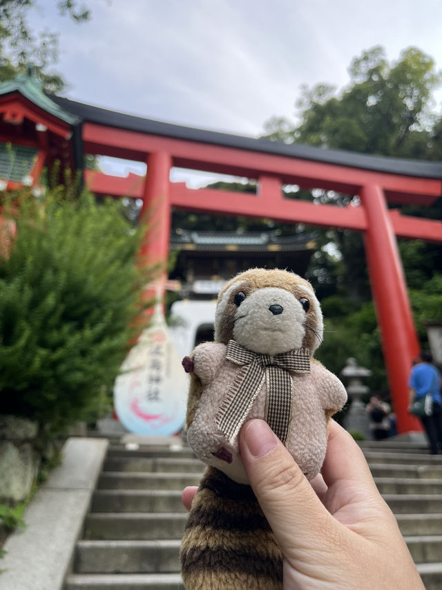 【鎌倉】江之島神社一步步走出的感動