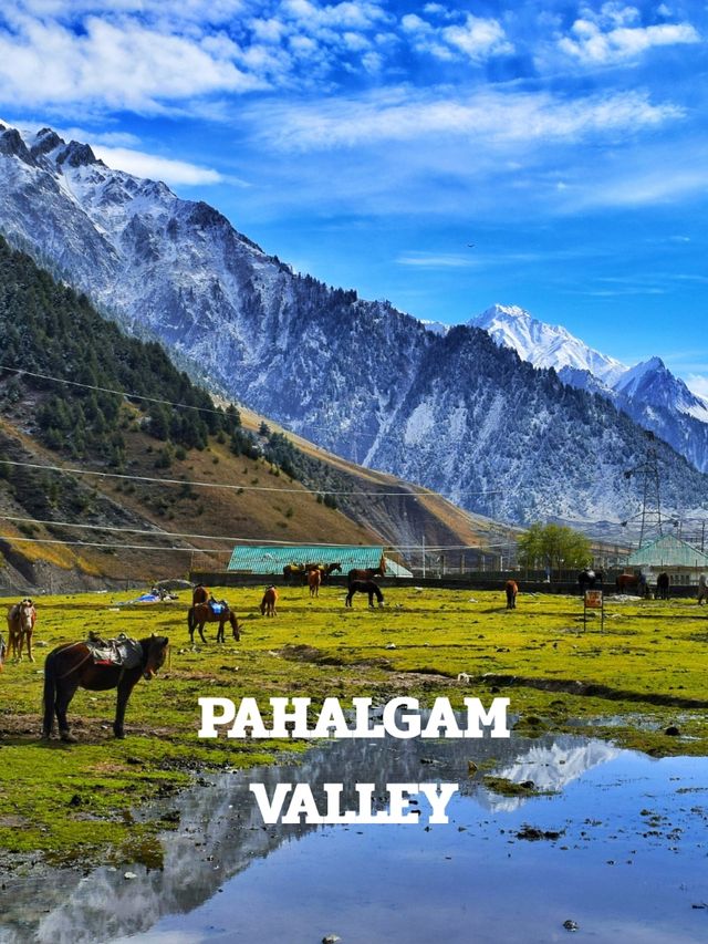 PAHALGAM TRIP