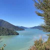 Cullen Point Lookout – Pelorus & Mahau Sound Panorama